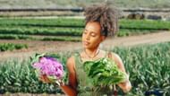 Cruciferous vegetables are high in fiber and low in calories. (Photo via Pexels/Kindel Media)
